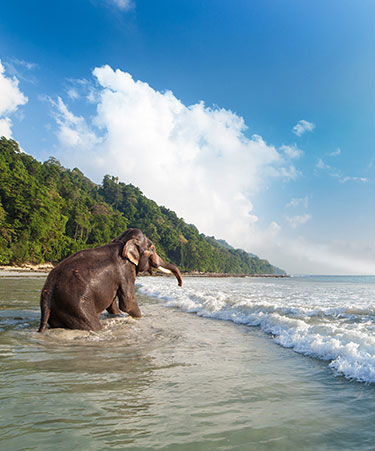 Havelock-02 port blair
